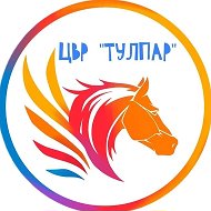 МБУДО «Центр внешкольной работы «ТУЛПАР» Высокогорского муниципального района РТ»