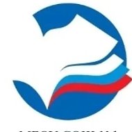 МБОУ СОШ № 1 г. Чайковский