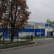 МКУ ДО "Нижнедевицкая ДЮСШ"
