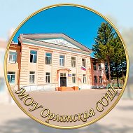 МОУ Орлинская СОШ Свободненский район