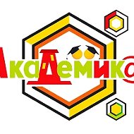 Академика