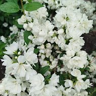Самара Школа 28 Цыганкова Светлана