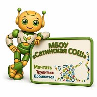 МБОУ "Сатинская СОШ"