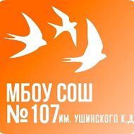 МБОУ «СОШ 107 им.Ушинского К.Д.»
