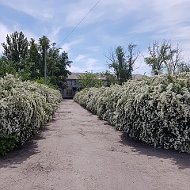 Платовская школа - лучшая школа в мире!