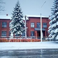Школьные мероприятия МБОУ "СОШ №25 с УИОП им. Б.И. Рябцева" г. Россоши Россошанского муниципального района Воронежской области