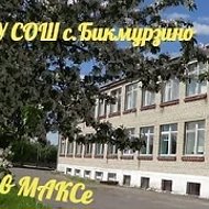 Канал МБОУ СОШ с.Бикмурзино Неверкинского района Пензенской области