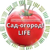 Сад огород life