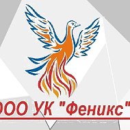ООО УК "Феникс"