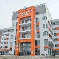 Тульский областной перинатальный центр