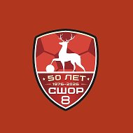 СШОР №8 по футболу Нижний Новгород
