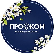 Профсоюзная организация обучающихся КубГТУ