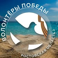 ВОЛОНТЁРЫ ПОБЕДЫ ДОНА