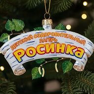 МАУ ДОЛ "Росинка"
