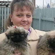 Домик Марио