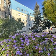 Больница Святителя Луки