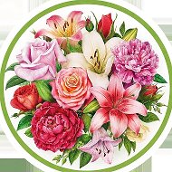 Цветы и растения