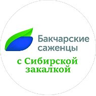 Бакчарские саженцы | АО "Бакчарское" | Жимолость