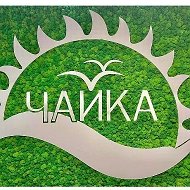 Загородный оздоровительный лагерь "Чайка" Тетюши
