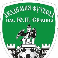 Академия футбола имени Ю.П.Семина