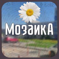 Школа «Мозаика», Красногорск