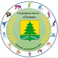 МБУ ДО СШ «Олимп» Сабинского муниципального района Республики Татарстан