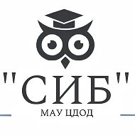 МАУ ЦДОД "СИБ"