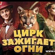 ГБУК ЛНР "Луганский государственный цирк"