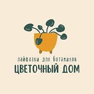 🪴 Цветочный дом - Комнатные растения
