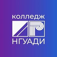 Колледж НГУАДИ