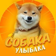 Собакен | Животные Юмор Смех Улыбка Приколы Питомцы Домашние Животные Отдых Развлечение Смех Коты Видео | Смешные коты собаки 2026 | Мемы животных | Угар с питомцами | Вирусные видео собак