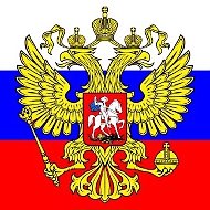 Подоляка Политика СВО Сводки