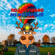 Подслушано Межозерный