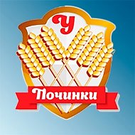 ФОК «Урожай» с.Починки Нижегородской области