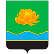 Администрации Мысковского городского округа