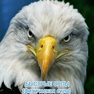 БЫСТРЫЕ ОРЛЫ (физическая сила) Уфа/ПОИСК РАБОЧИХ