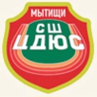 Спортивная школа «ЦДЮС»