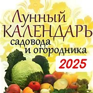 Следите за фазами Луны