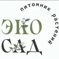Эко Сад Восточный | Питомник растений