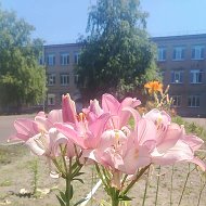 МОУ "ООШ № 26 имени В.Д. Хомяковой"
