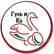 ИНКУБАЦИОННОЕ ЯЙЦО ГУСЬ И КО