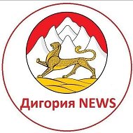 Digoria NEWS