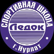 Спортивная школа "ЛЕДОК"