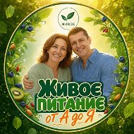 Живое питание от А до Я | сыроедение веганство вегетарианство ПП ЗОЖ эко