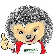 МБ ДОЛ "Дружба"