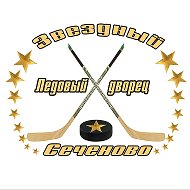 ГАУ НО ЛЕДОВЫЙ ДВОРЕЦ В С. СЕЧЕНОВО НИЖЕГОРОДСКОЙ ОБЛАСТИ