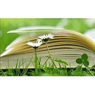 Здоровье без Книг и Зубрежки | эко зож пп детокс экоздоровье