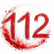 ЧП Россия 24