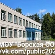 МОУ "Борская ООШ" город Тихвин