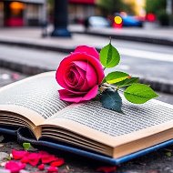 «Книжный переулок, 24/7»